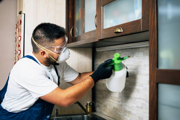 Best Rat Extermination Near Me  in Lincroft, NJ