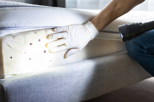 Reliable Lincroft, NJ Pest Control Solutions